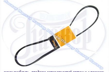   - .406  . CONTITECH-   6PK1230 6PK1230