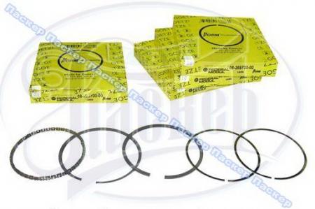   LADA D79.0 STD GOETZE (  / ) 08-421200-00