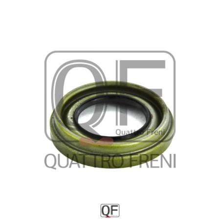  QF00Y00029