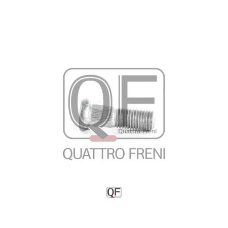  QF10D00029