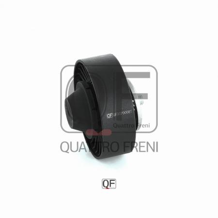     QF31P00087