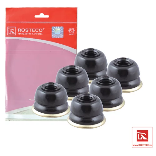      2101-3003074 20015 ROSTECO