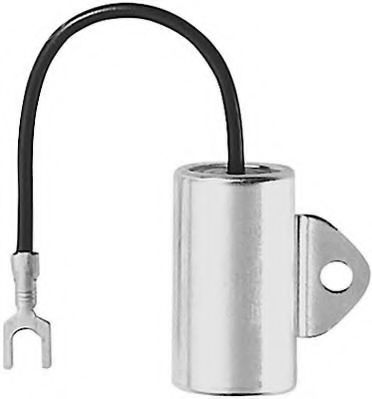   ZK146