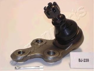  /   BJ-239