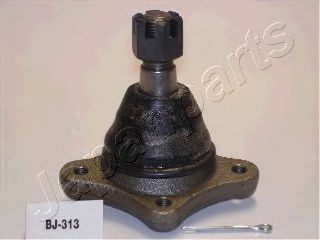  /   BJ-313