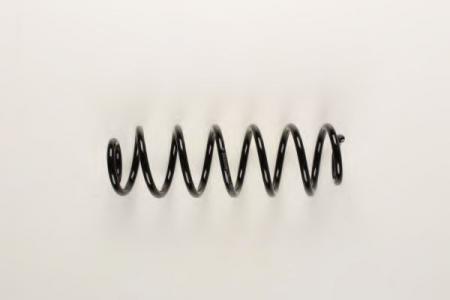 ПРУЖИНА ПОДВЕСКИ R VW GOLF V PLUS (HD), B3 36148158