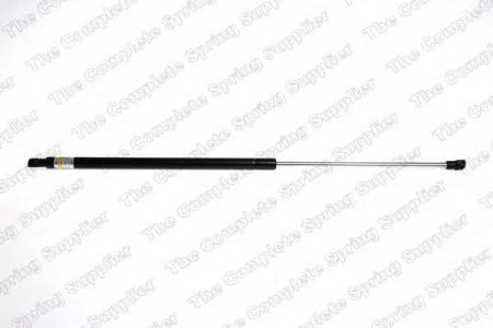 УПОР ГАЗОВЫЙ CITROEN XSARA (N0) КУПЕ 8115620