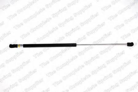 УПРУГИЙ ЭЛЕМЕНТ, КРЫШКА БАГА 8194606