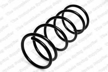 ПРУЖИНА 20210