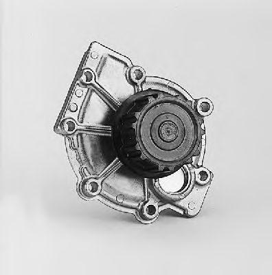   P060