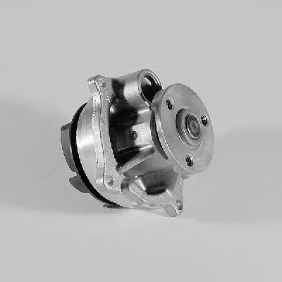   P236