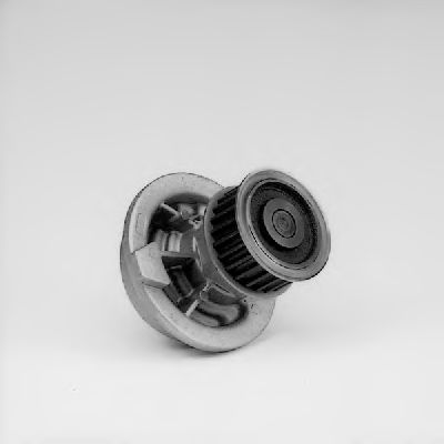   P316