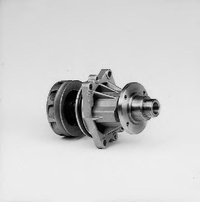   P462