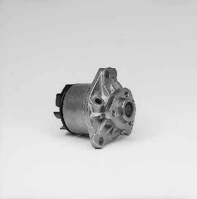   P524