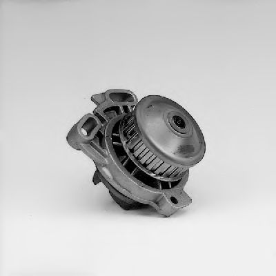   P526