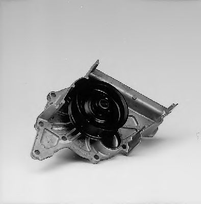   P539