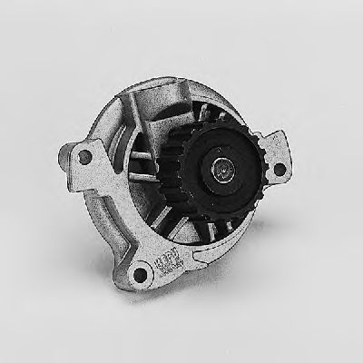   P546