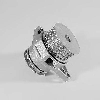   P556