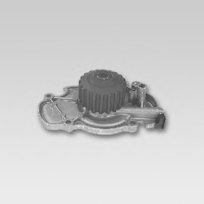   P779