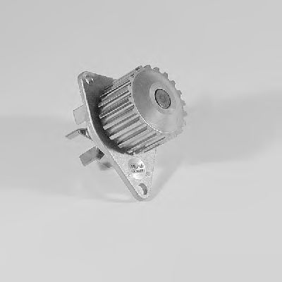   P813