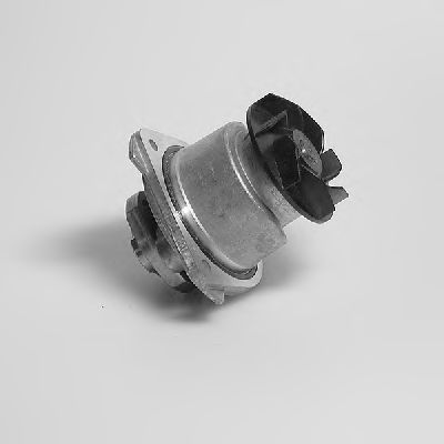   P525