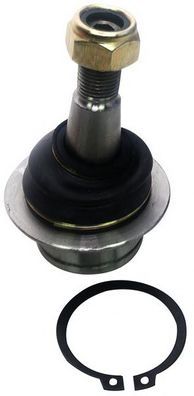 DEN-.FORD TRANSIT 2000- D120186