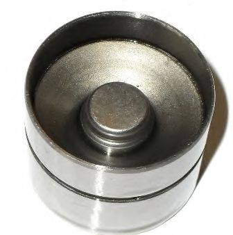    PI060001