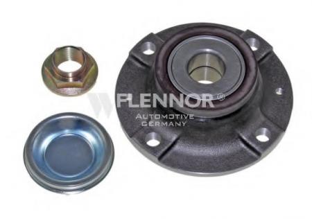      FR691845