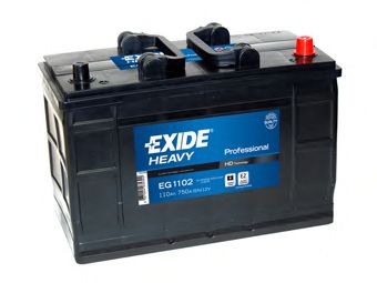 PROFESSIONAL  EG1102