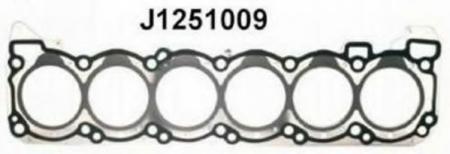,   J1251009