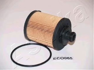   () 10-ECO065