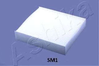   21-SM-SM1