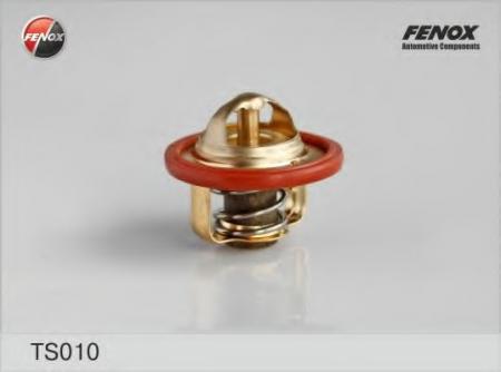  TS010