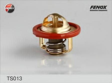  TS013