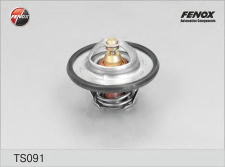 ��������� TS091