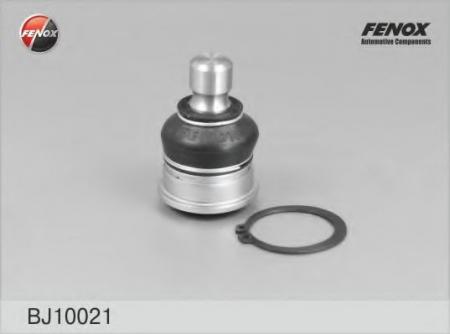     BJ10021