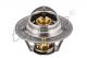  FORD FIESTA/SIERRA/TRANSIT 1.4-2.0 89-95 / GALAXY 2.0/2.3 98-06 300 813 755