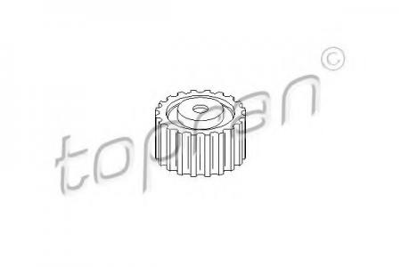    RENAULT CLIO/KANGOO/MEGANE 1.9D 207016755