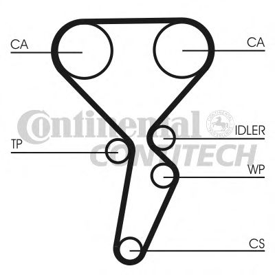    C   CT1126WP1