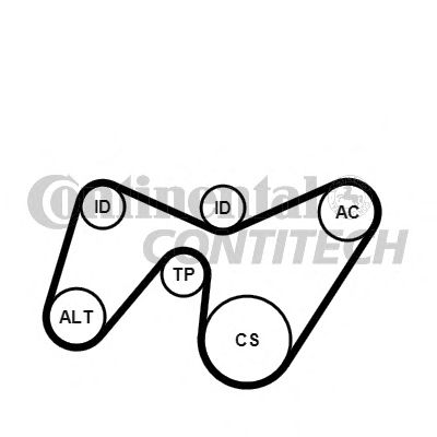   FORD MONDEO/TRANSIT, JAGUAR X-TYPE 2.0/2.2D 00-09 6PK1642K2