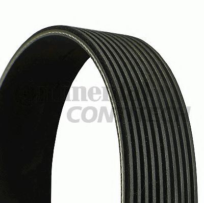   10PK1570 ContiTech