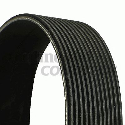   12PK1580 ContiTech