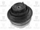   MERCEDES C CLASS (W202). E CLASS 240442