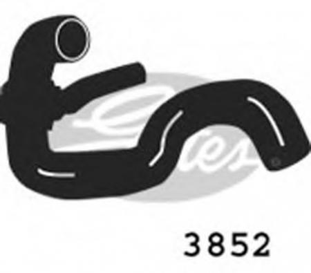    3852
