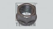  . / 11.020.1905.620 TEMPLIN