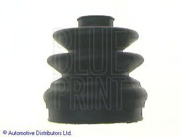  P10 ADN18164