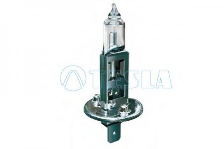  H1, 12 V, 55 W, P 14,5 S B10101