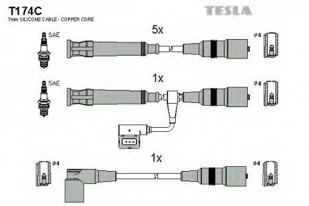 T174C  / - T174C