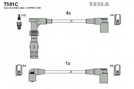 T591C  / - T591C