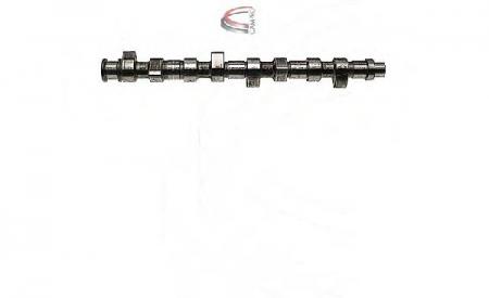 NOCKENWELLE VAG CP10204